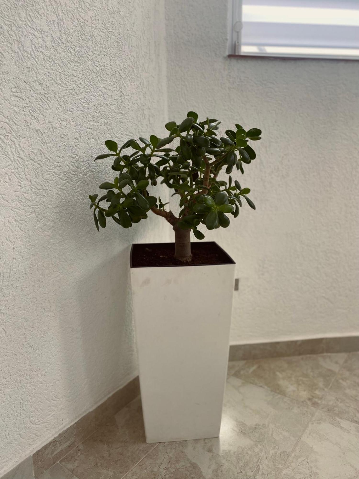 Greenhill Apartments Κουμάνοβο Εξωτερικό φωτογραφία