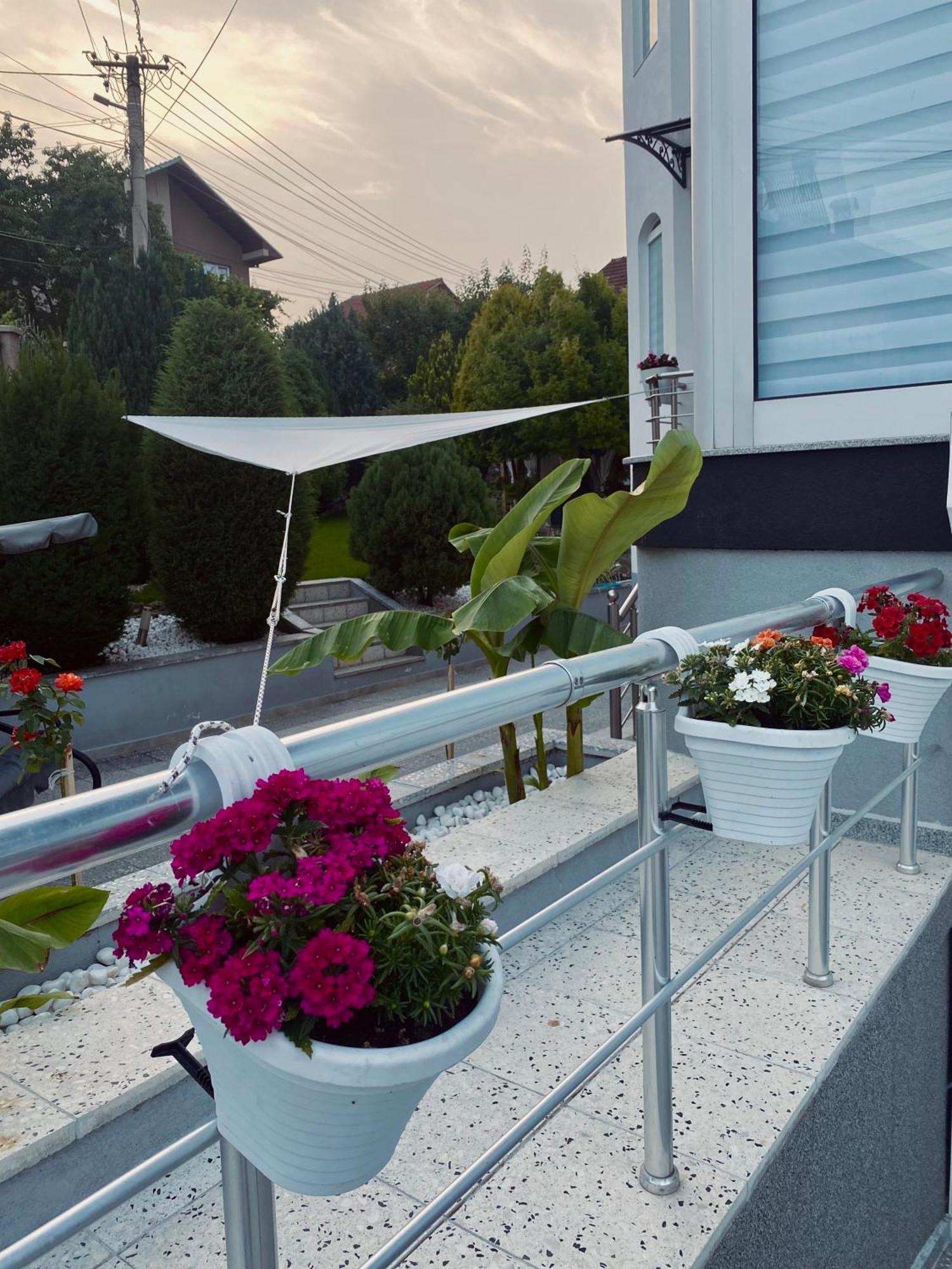 Greenhill Apartments Κουμάνοβο Εξωτερικό φωτογραφία
